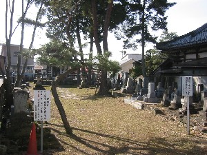 写真：別院墓地