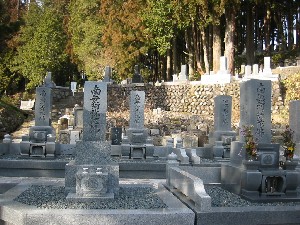 写真：大雄寺墓地