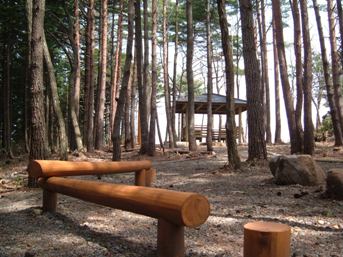 写真：位山遊びの散歩道