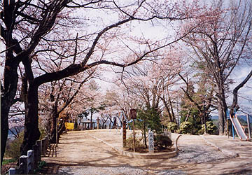 写真：北山公園