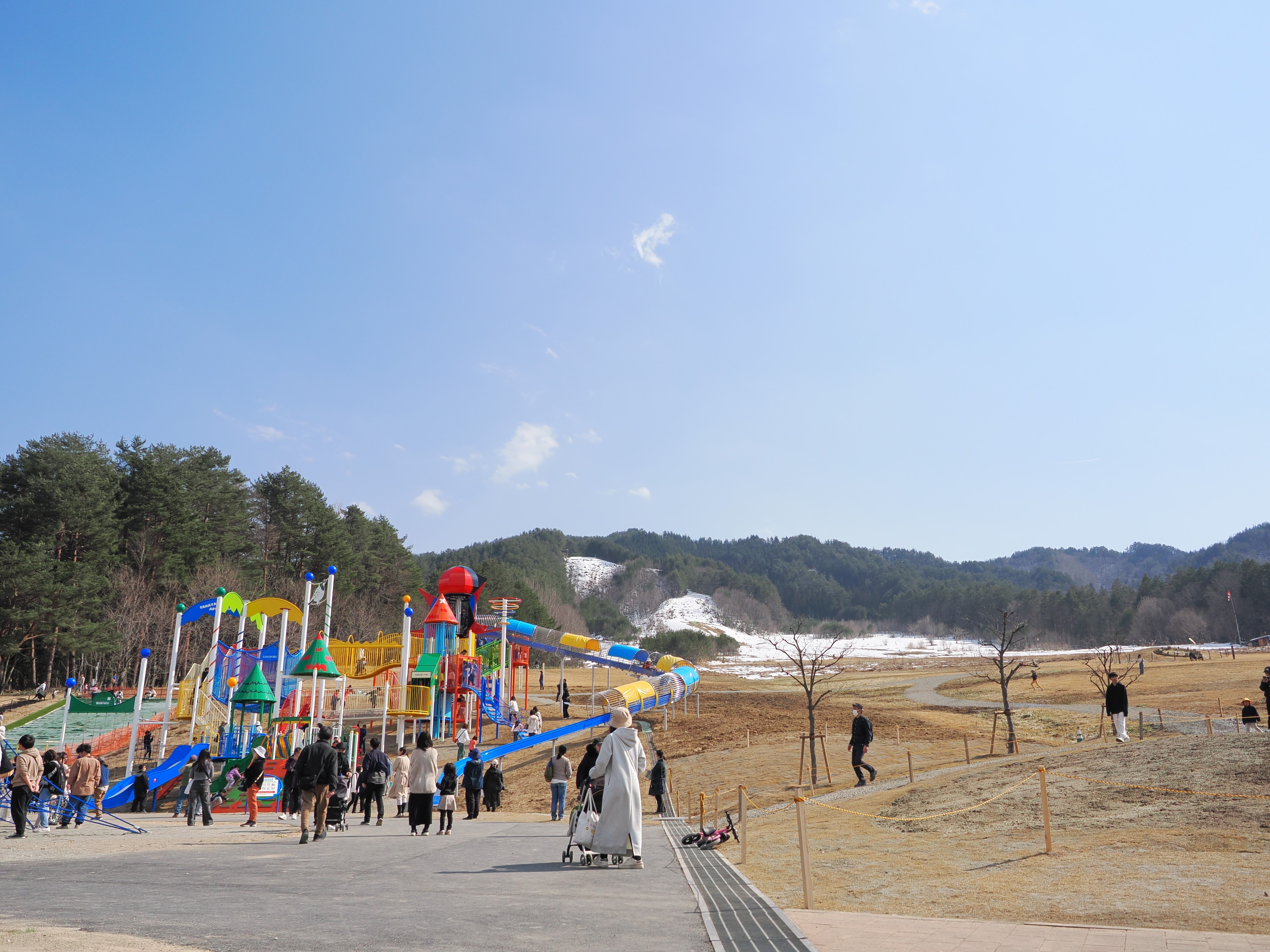 写真：原山市民公園