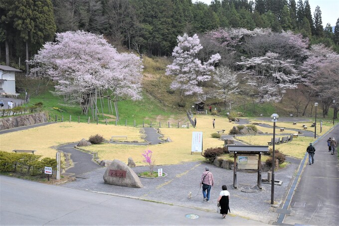 写真：臥龍公園