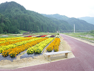 写真：飛騨川河川公園