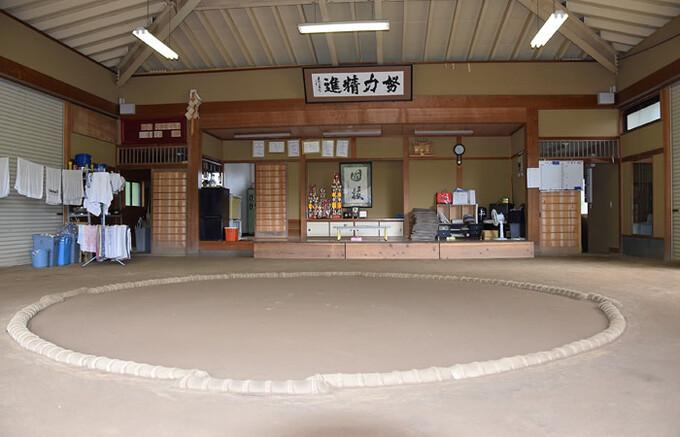 どひょう