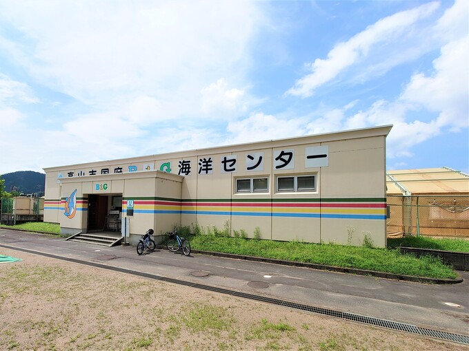 写真：国府B＆G海洋センタープール