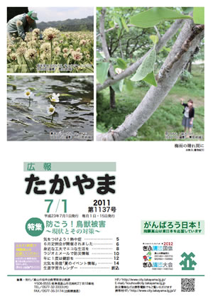広報たかやま7月1日号表紙:水無月、植物紀行(行者にんにく、バイカモ、袋ほうば)