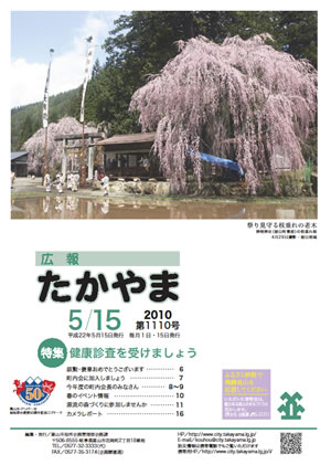 広報たかやま5月15日号 神明神社の枝垂桜