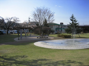 昭和児童公園の写真1