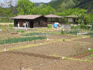 塩屋農園の写真