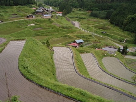 田植え後の棚田の風景