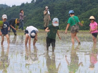 田植えの風景