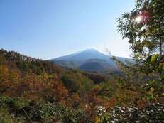 望岳の森写真