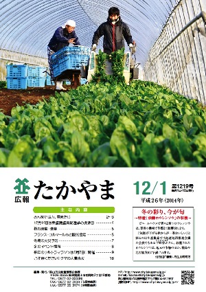 冬の彩り、今が旬～飛騨ホウレンソウの収穫