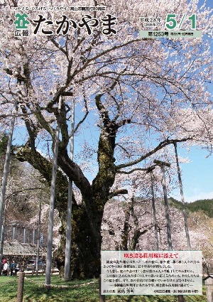 咲き誇る荘川桜に添えて