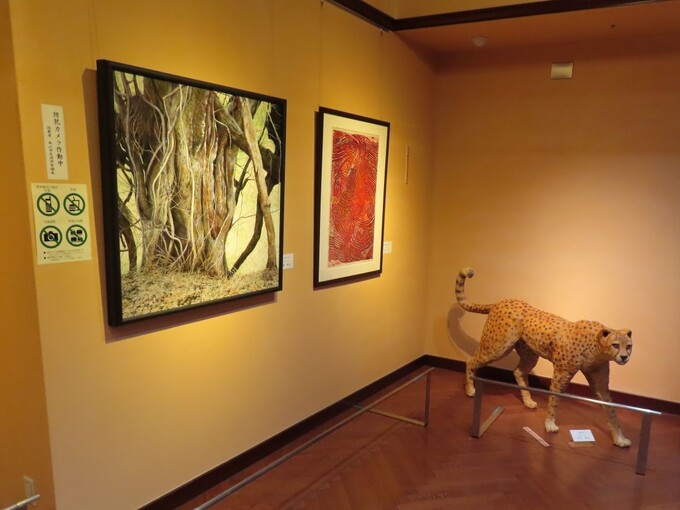 図書館展示の様子2