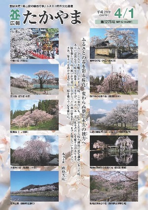 ふるさとの春を彩る桜花　変わらぬ景色永久の彼方へ