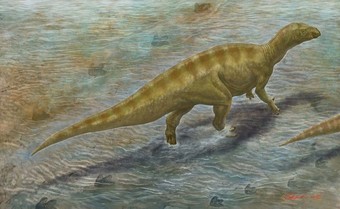 小田隆画「水面を渉るイグアノドン類」