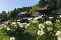 正宗寺本堂公開
