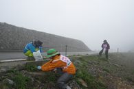 乗鞍岳外来植物除去作業