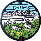 丹生川地域のカラーマンホール蓋