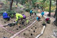 「いのちの森づくり」の植樹