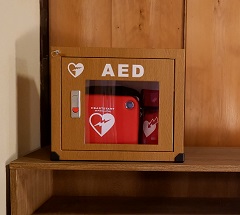 AED