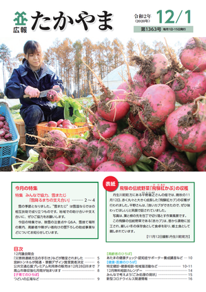 飛騨の伝統野菜「飛騨紅(ひだあか)かぶ」の収穫