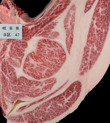 過去大会における高山市から出品された枝肉(第10回全国和牛能力共進会 長崎大会 肉牛の部)