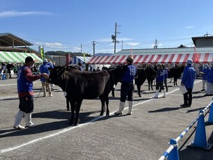 第2区の審査の様子