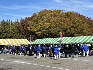 審査会場の様子