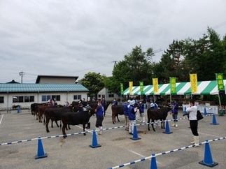 会場の様子