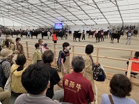 写真：審査の様子を見守る田中市長