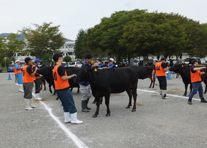 第78回高山市畜産共進会の会場風景