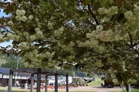 荒城小学校