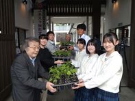 あさがおの苗贈呈式の様子