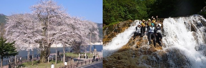 荘川観光振興公社_イメージ