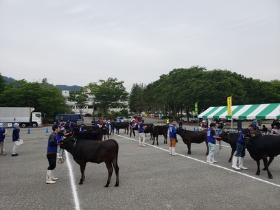 tennkaiti6shinsa
