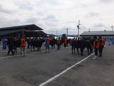 第78回高山市畜産共進会の会場風景