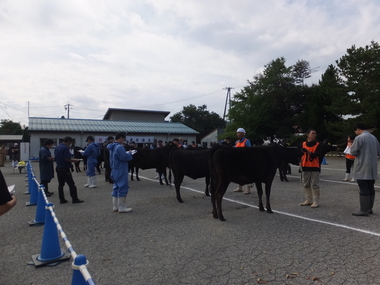 第79回高山市畜産共進会の会場風景