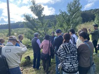 果樹園農家見学の様子