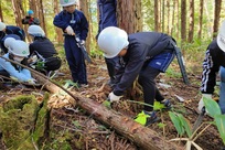 間伐体験の様子