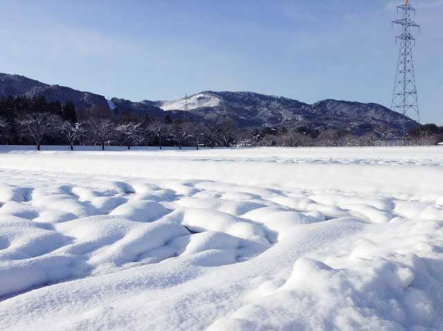 都会っ子、雪国になじめるか?