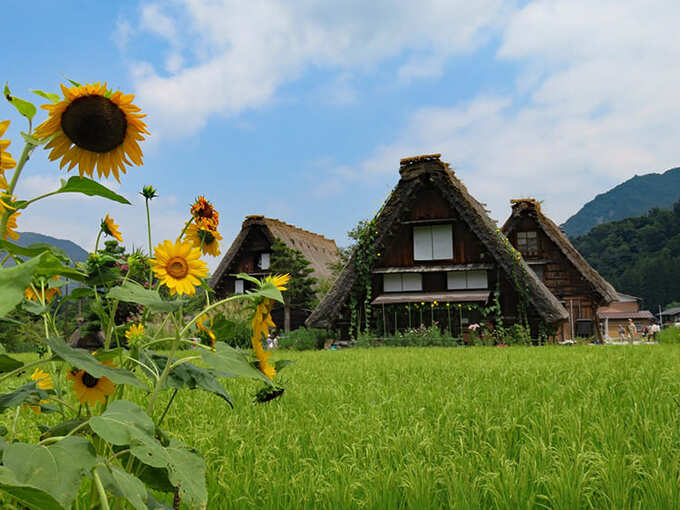 先輩移住ママに聞いた！飛騨地域の気になるアレコレ 2019.12.02