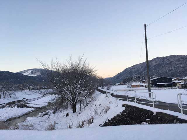 画像7