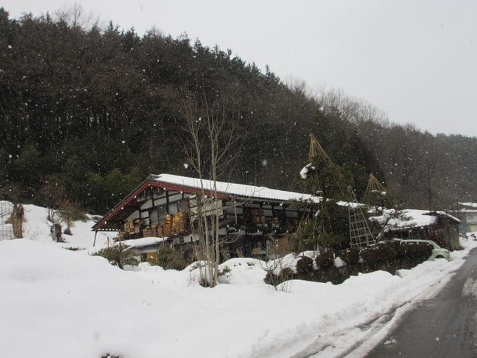 画像6