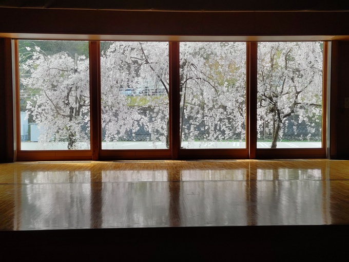 床桜