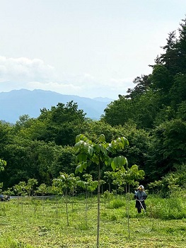 sakai5
