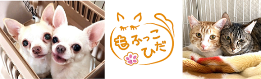 mofukko