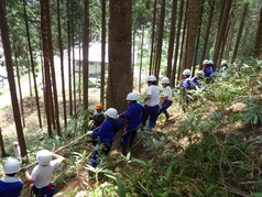 ロープをひいて倒す