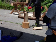 丸太半分に切る